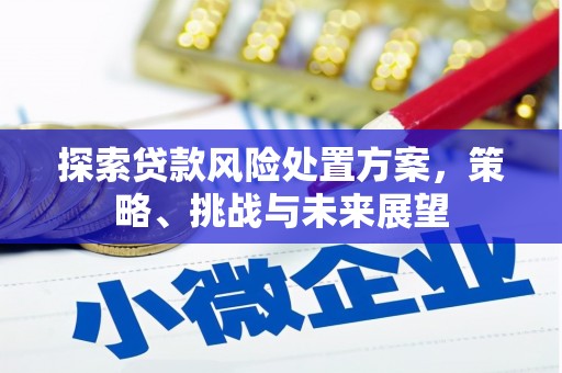 利川探索贷款风险处置方案，策略、挑战与未来展望