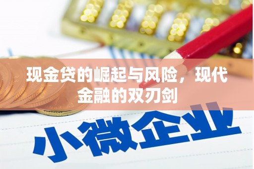 蒙自现金贷的崛起与风险，现代金融的双刃剑