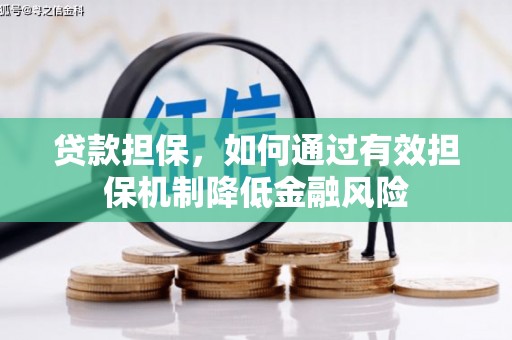 平南贷款担保，如何通过有效担保机制降低金融风险