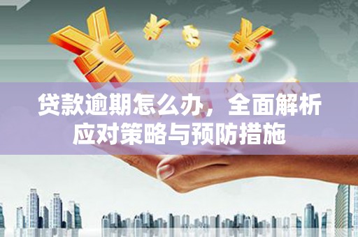 错那贷款逾期怎么办，全面解析应对策略与预防措施