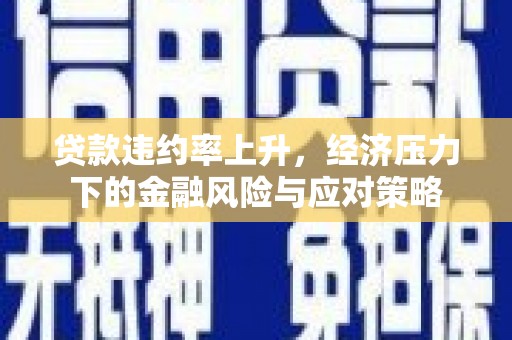 克孜勒苏柯尔克孜贷款违约率上升，经济压力下的金融风险与应对策略