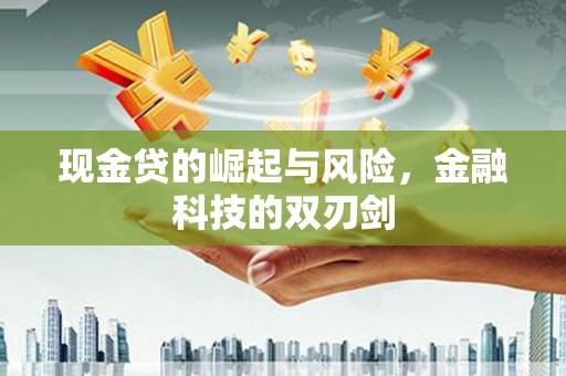 海勃湾现金贷的崛起与风险，金融科技的双刃剑