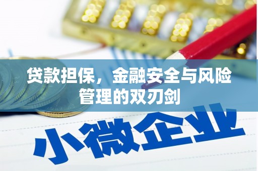 林园贷款担保，金融安全与风险管理的双刃剑