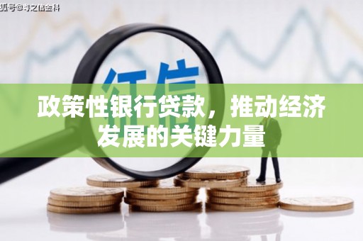 绥中政策性银行贷款，推动经济发展的关键力量