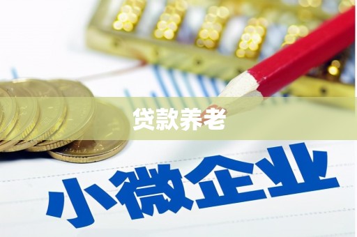 万源贷款养老