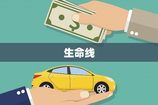 遂昌生命线