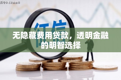 碌曲无隐藏费用贷款，透明金融的明智选择