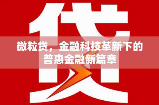 阿巴嘎旗微粒贷，金融科技革新下的普惠金融新篇章