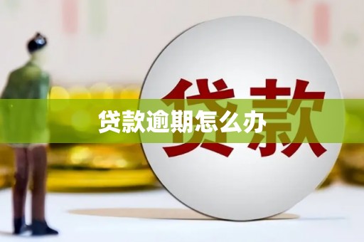 双河贷款逾期怎么办