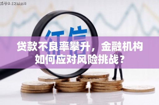 奈曼旗贷款不良率攀升，金融机构如何应对风险挑战？