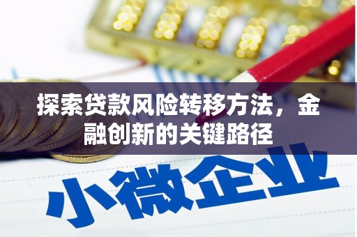 凌海探索贷款风险转移方法，金融创新的关键路径