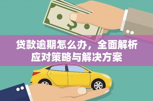 罗平贷款逾期怎么办，全面解析应对策略与解决方案