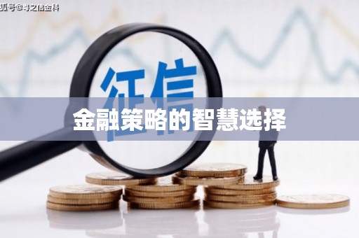 四湖金融策略的智慧选择