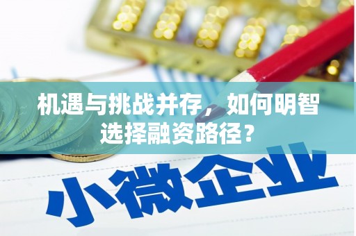 甘井子机遇与挑战并存，如何明智选择融资路径？